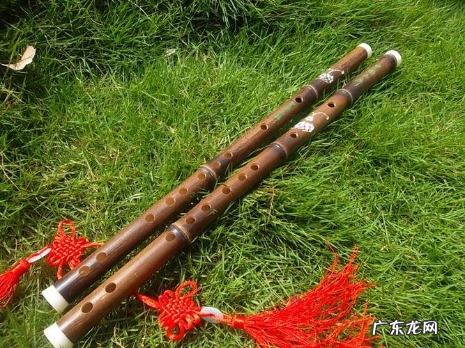 侧着吹的是什么笛子