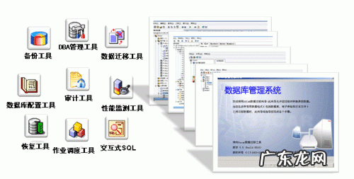 数据库管理系统是系统软件吗