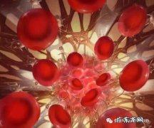 我的造血干细胞和别人匹配了 别人的造血干细胞能给我治病吗