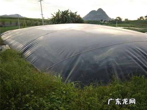 一般用在哪个部位 土工膜一般用于哪个部位