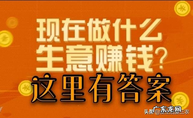 今年的李子价格是多少 黄金李子价格是多少钱一斤