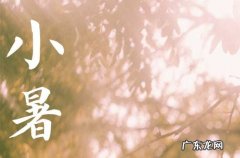 小暑时节朋友圈怎么发