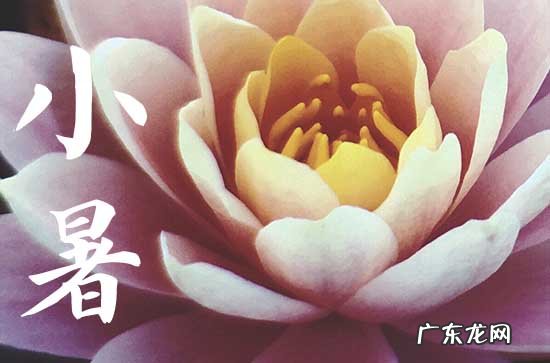 小暑节气祝福短句