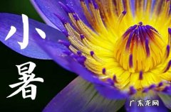 120句 小暑节气简短干净的文案