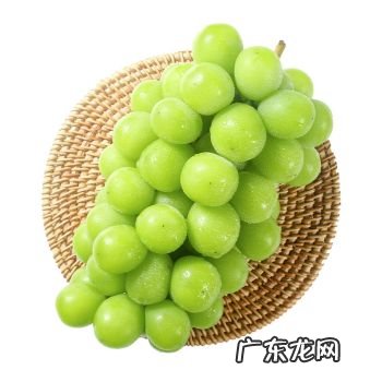玫瑰葡萄的功效与作用