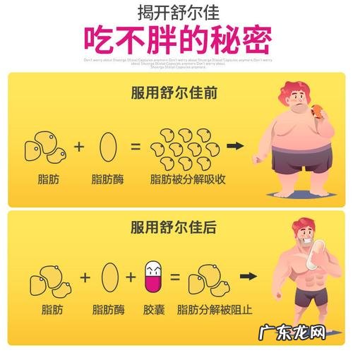 吃减肥药变成顽固体质 顽固体质吃减肥药前期不减怎么办
