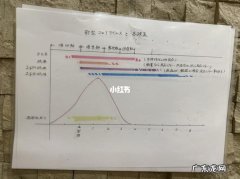 核酸抗原检测是什么意思
