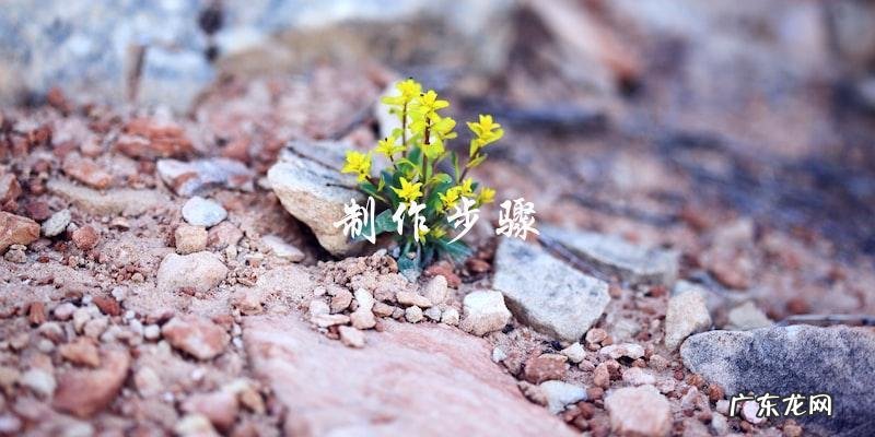 茶树菇排骨瓦罐汤:美味健康的冬季暖心汤!