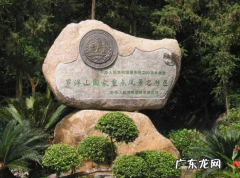 罗浮山在哪