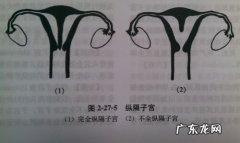 纵隔子宫会影响月经不调吗
