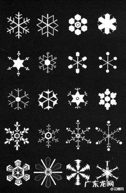 雪花的形状具备什么特点