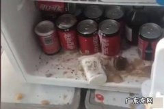 可乐放冰箱冷冻多久会爆炸