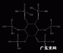 植酸是什么物质?植酸的性能有哪些