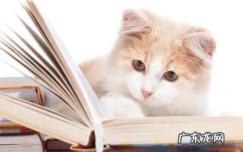 大柜摆放在什么地方 客厅的大柜应该放什么