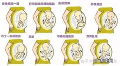 什么叫连续胎动算一次
