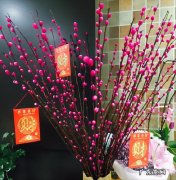 客厅放地插好吗 地插放客厅哪个位置好
