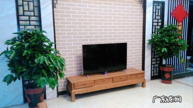 客厅放什么花比较好养 客厅放什么花比较好