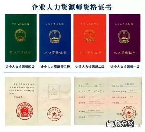 人力资源管理师工作内容主要有哪些