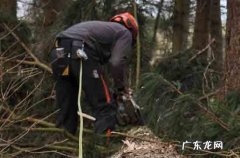 2024五一送给领导祝福语4条