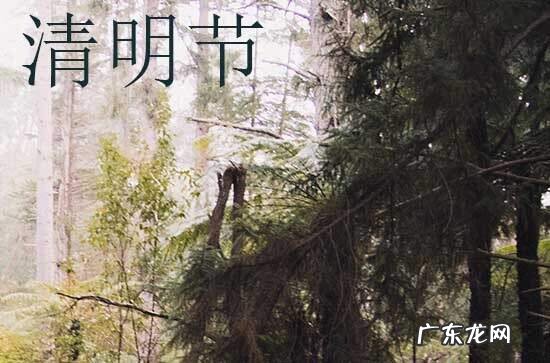 50句 清明节放假祝福语2024