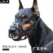 如何在电脑中添加防黑加固功能