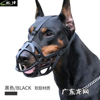 如何在电脑中添加防黑加固功能
