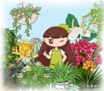 金钱树能在客厅养吗 金钱树适合在家里客厅养吗