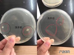 培养皿怎样做才合格