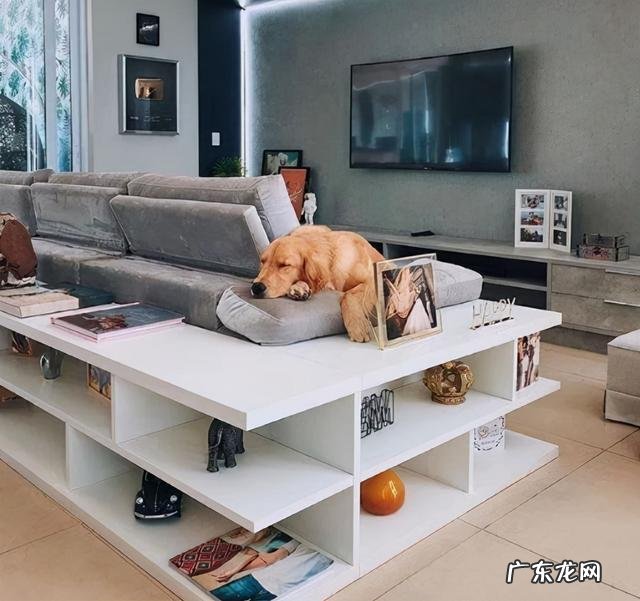 客厅装修成书房 客厅装成书房