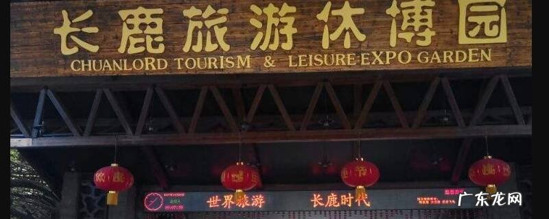 佛山适合亲子游的地方有哪些,佛山适合亲子活动的地方