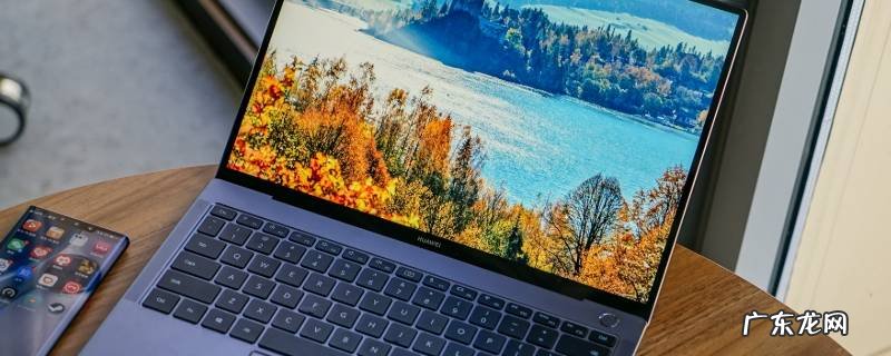 activex flash和ppapi flash的区别,adobe flash player 34 activex 与PPAPI