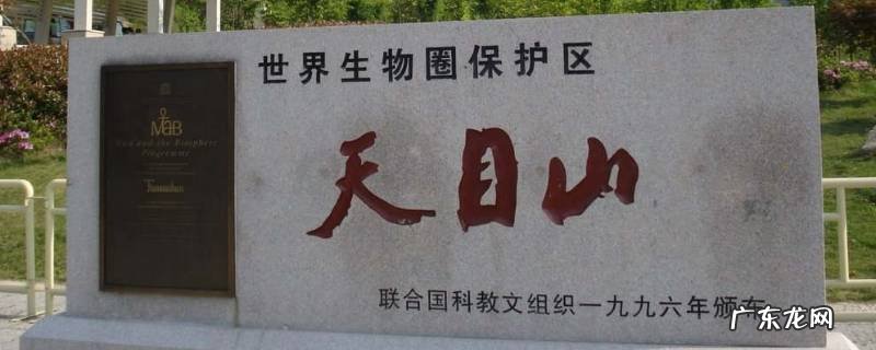 天目山在哪里,江苏天目山在哪里