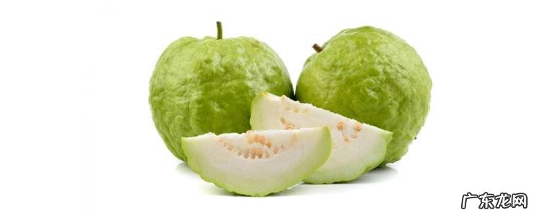 芭乐硬的可以吃吗,芭乐是硬的吃还是软的吃