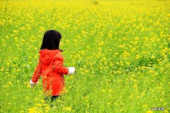 踏青的意思怎么解释