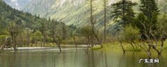 四姑娘山在哪里,重庆四姑娘山在哪里