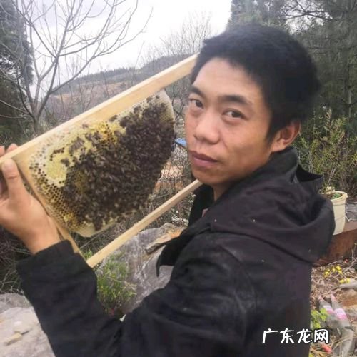 竹子象征着什么