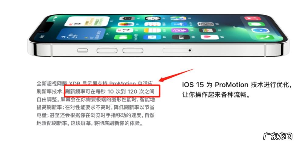 苹果13全名