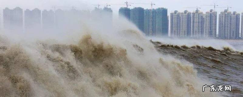 钱塘江大潮时间,钱塘江大潮时间表2022年7月