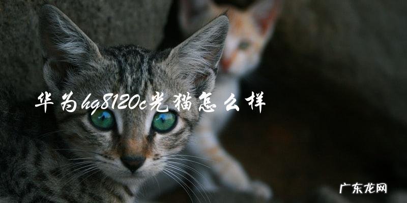 华为HG8120C光猫表现如何?