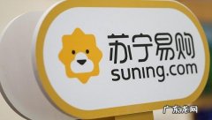 苏宁电器股票分析