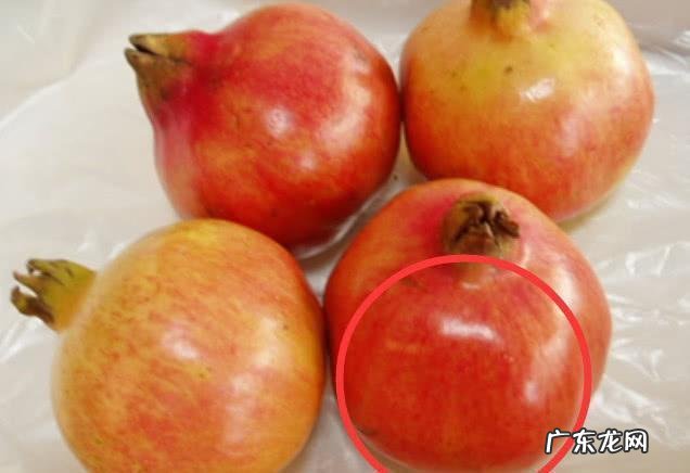 怎么挑选石榴