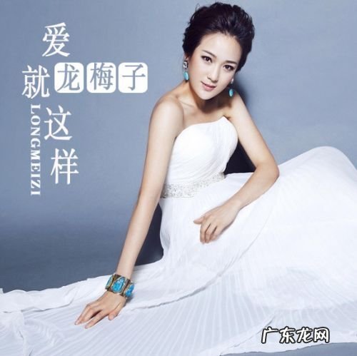 龙梅子最火的一首歌