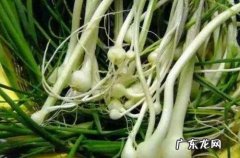 野葱的腌制方法家常