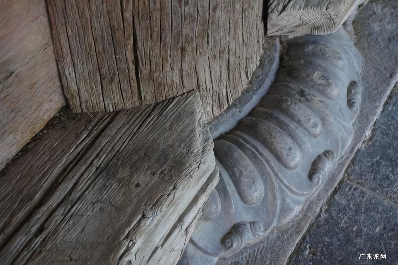 石柱花作用与功效 石柱在风水学上作用是什么