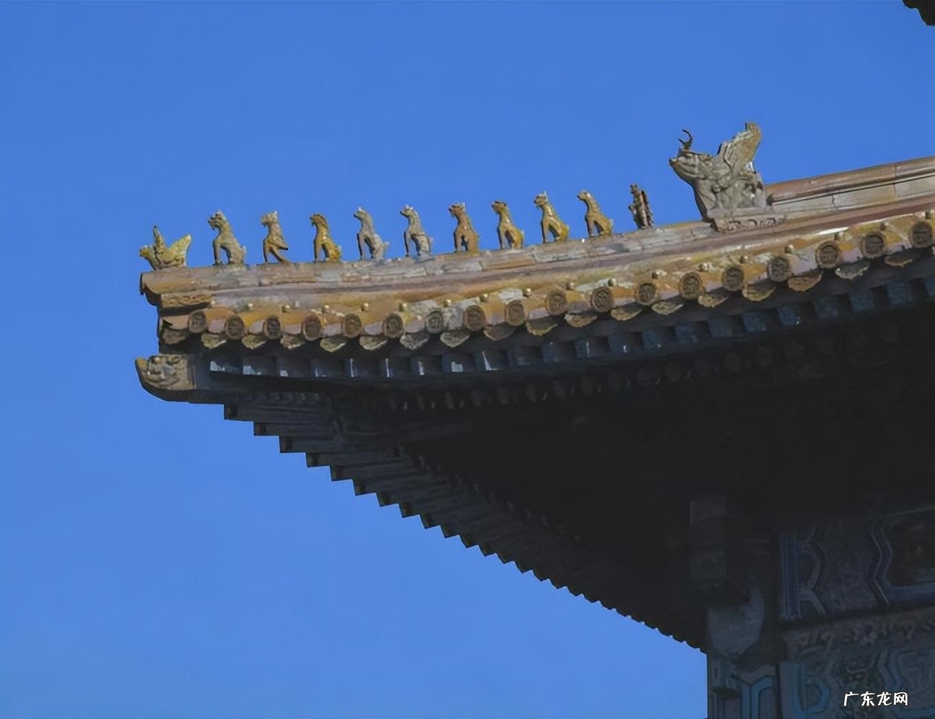 石柱花作用与功效 石柱在风水学上作用是什么