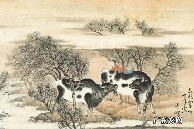 宅子风水大全图 实宅风水学