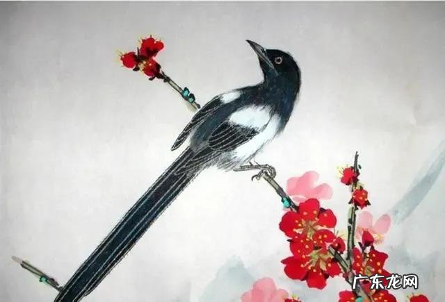 宅子风水大全图 实宅风水学