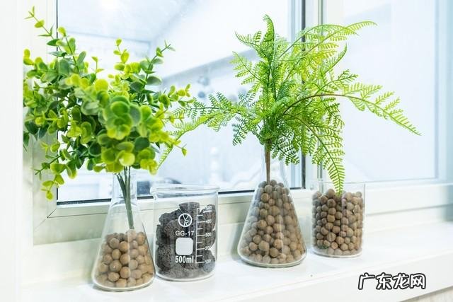 门大小的风水 门大小对风水的影响有哪些