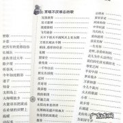 2008年网络流行歌曲500首