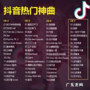 抖音神曲100首歌词